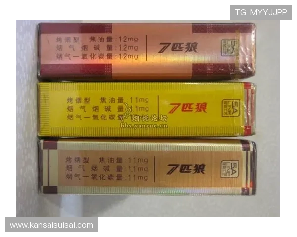 7匹狼娱乐城位置及交通指南,方便快捷的到达方式推荐